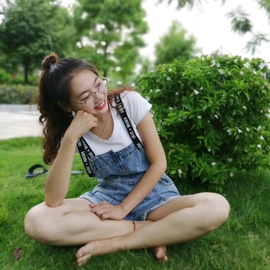 越南阿璇（的日记）