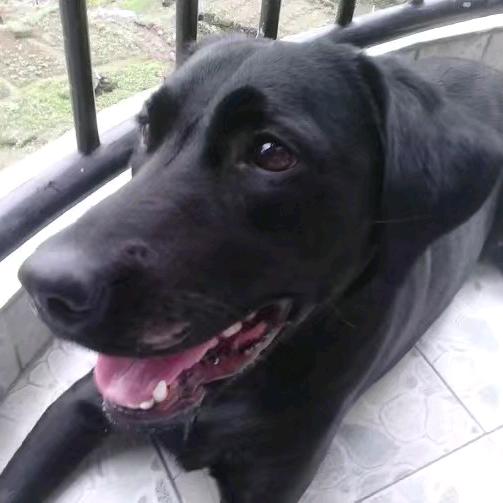 爱一个不爱你的人