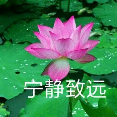 今世有缘.