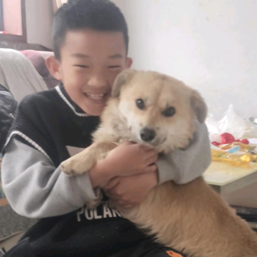 小小赵的妈妈