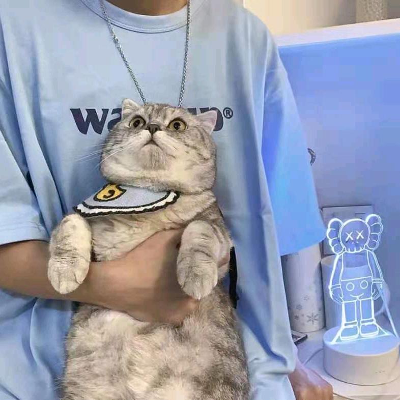 蓝梦泽