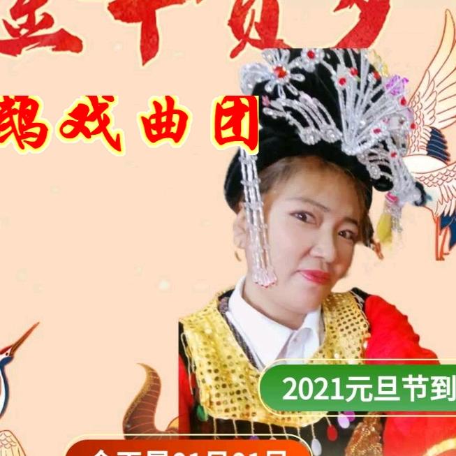 鹦鹉