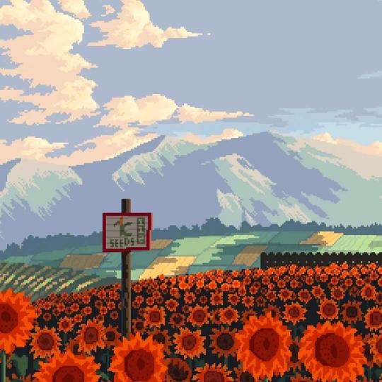 苞谷里的玉米大侠