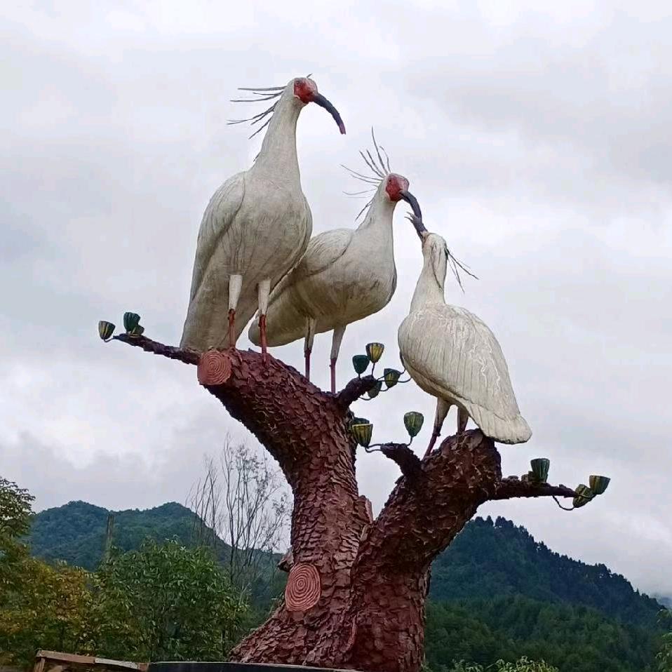 潮哥音乐（木）