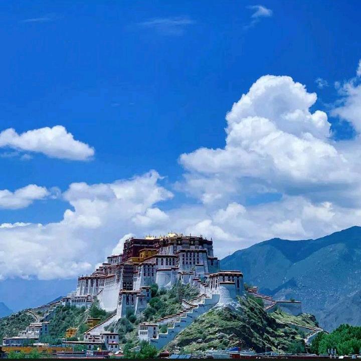 海坤🇨🇳牛仔