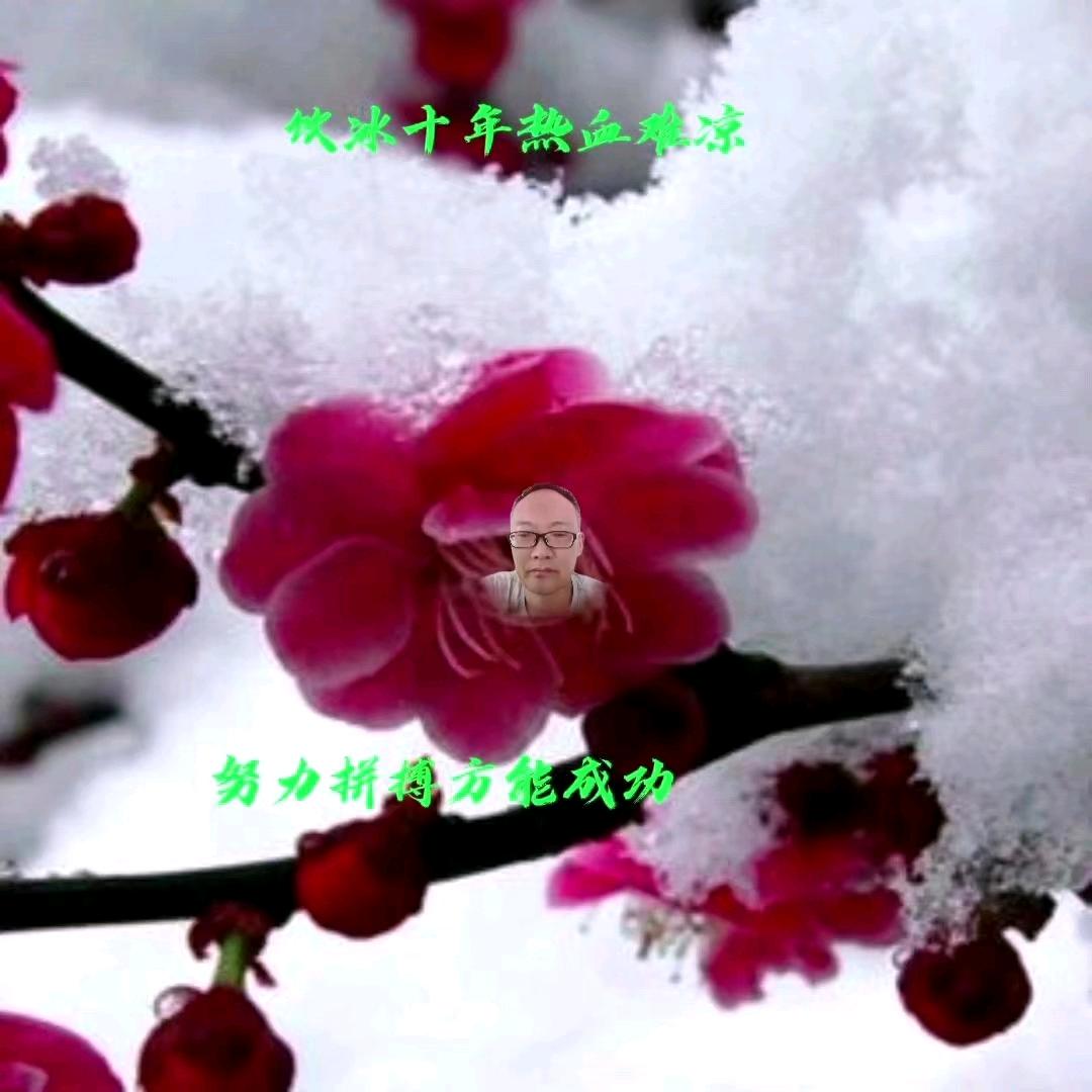 饮冰十年(音乐)