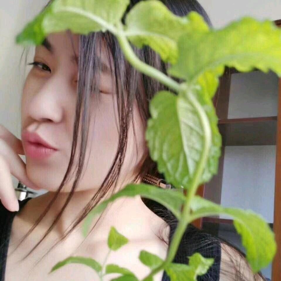 多么哇噻的菇凉
