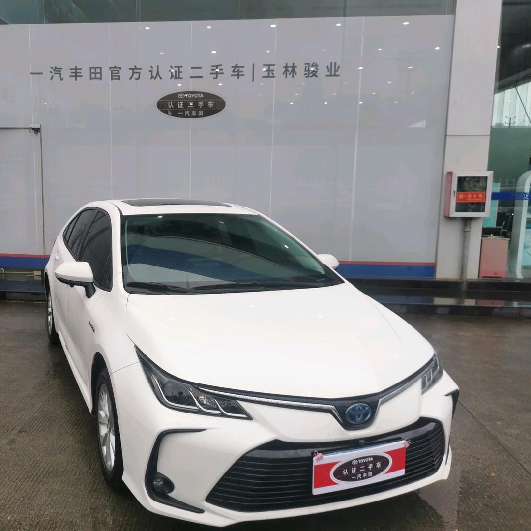 大马哥