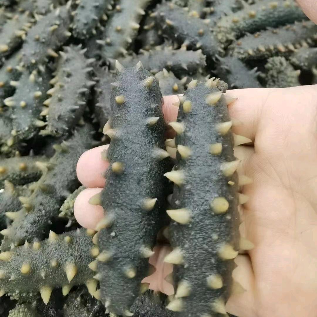大连静玉姐海参