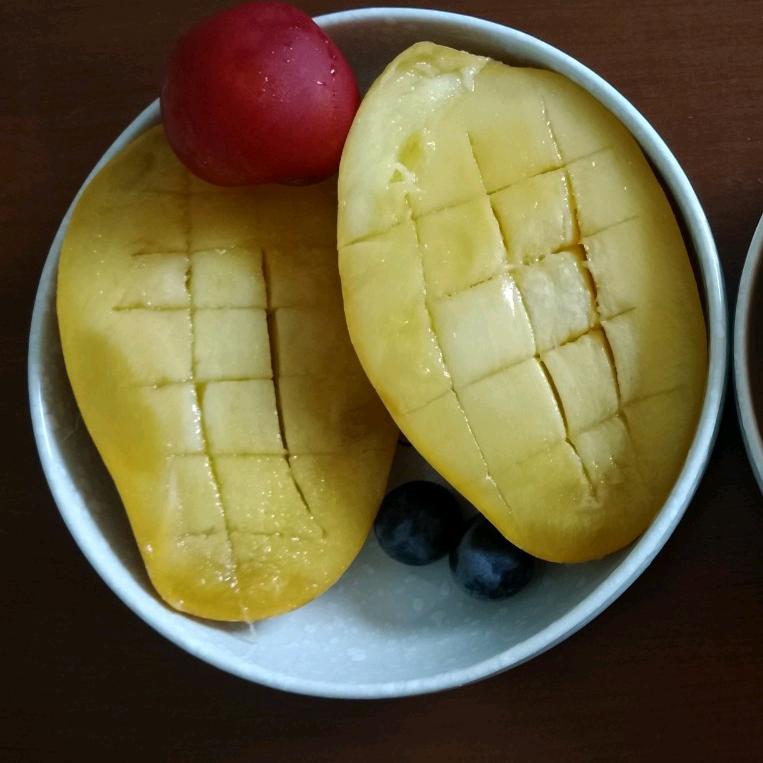 爱唱歌的百灵鸟