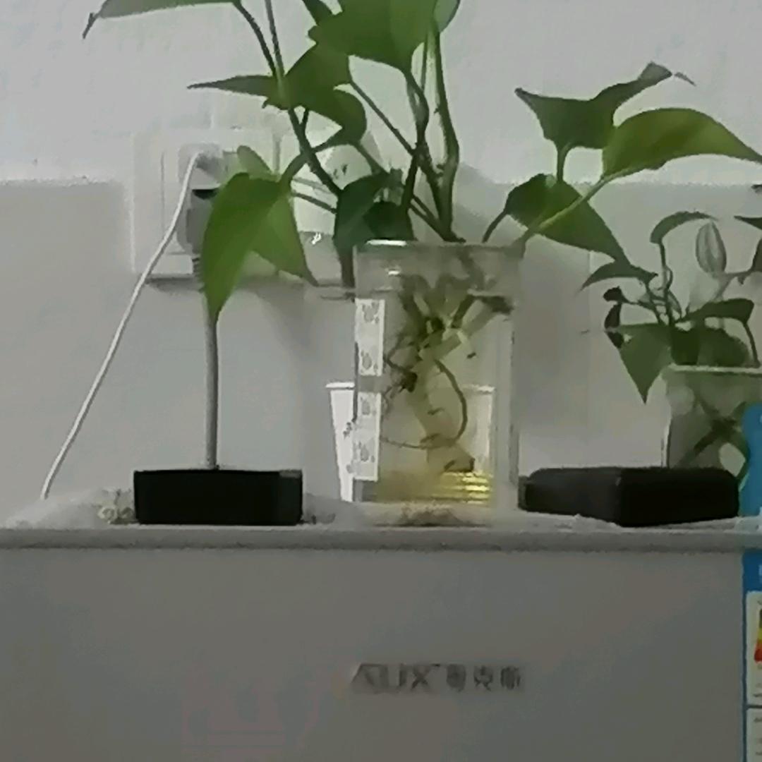 🚴🏻🚴开心就好