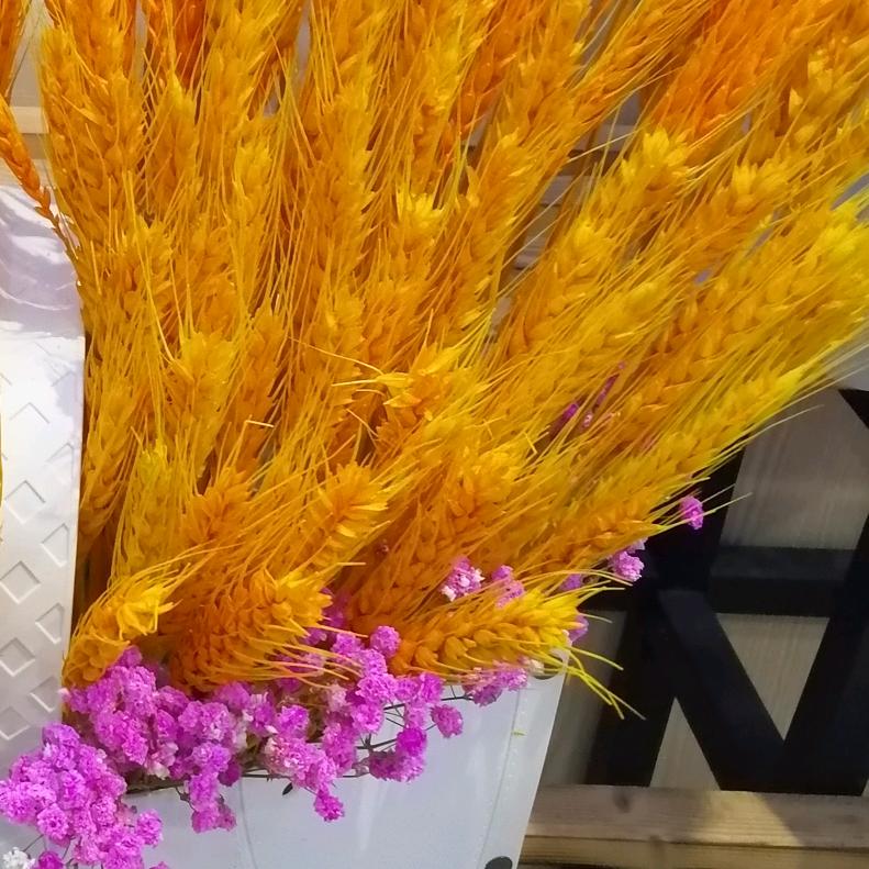 砚浓的宝贝（铭捷针车行）