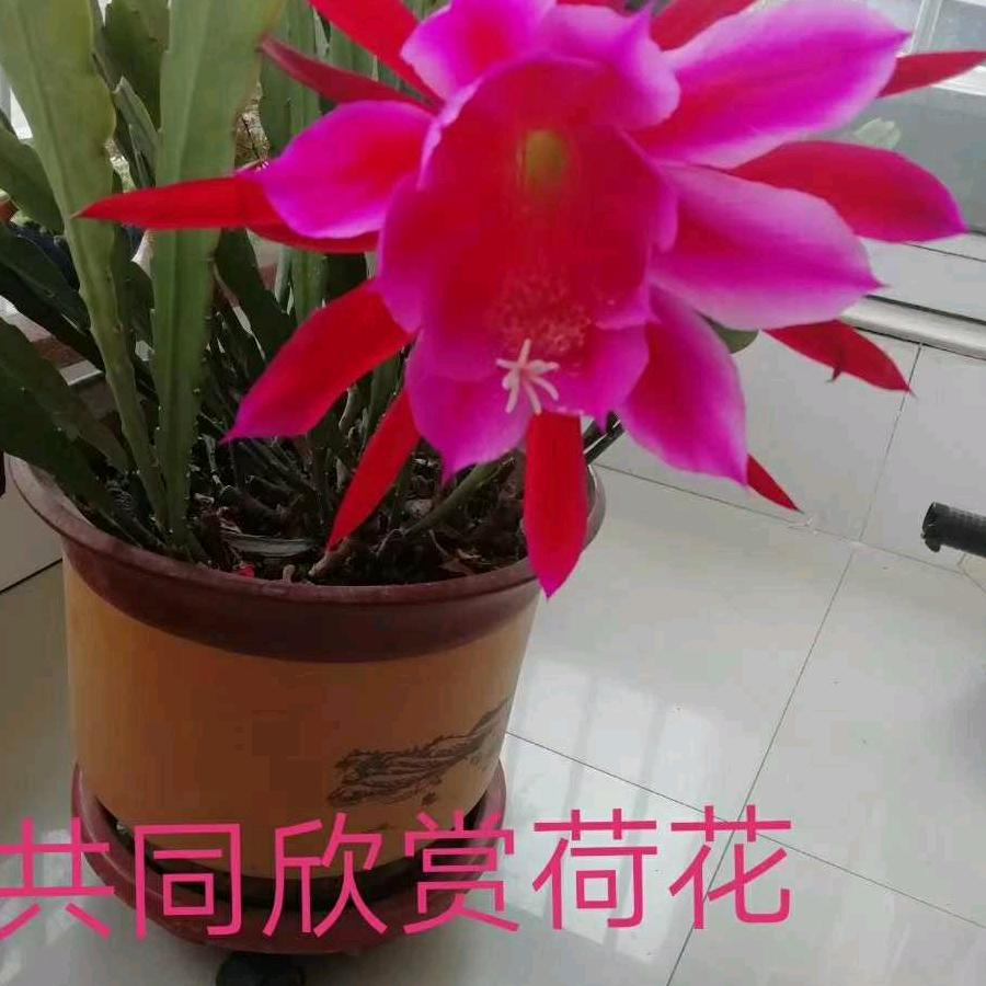 春暖