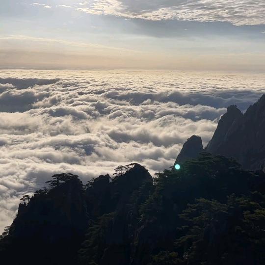 斯巴达达