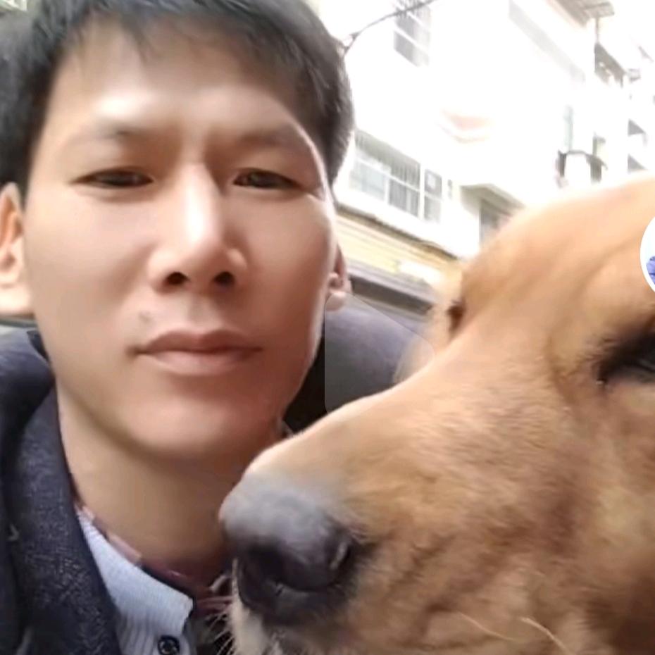 悔不当初