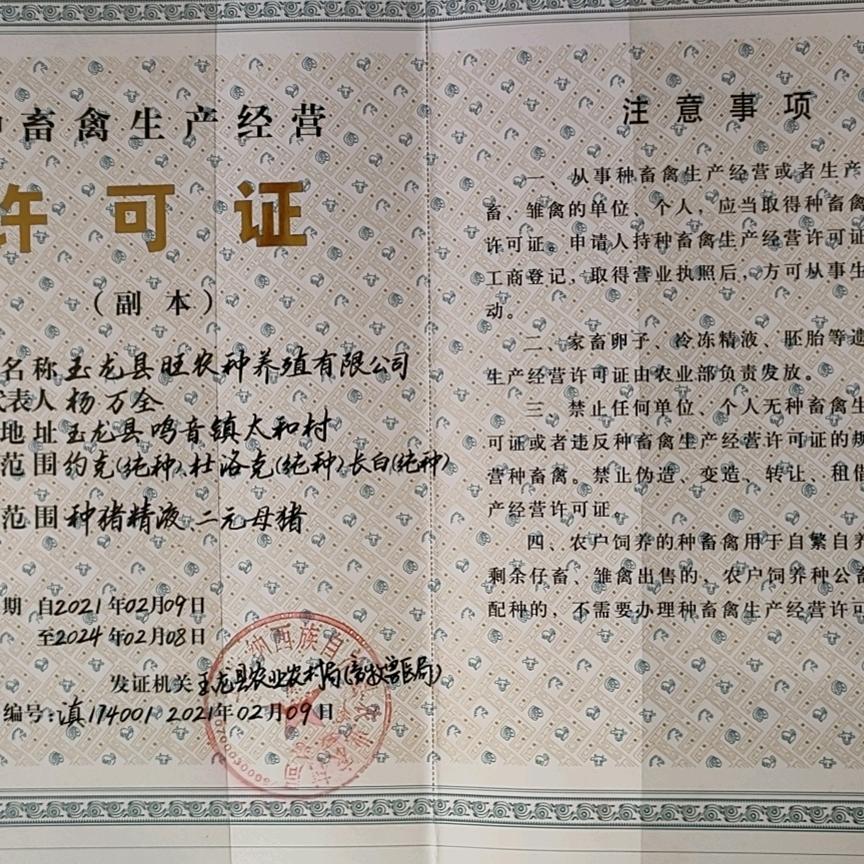 玉龙县旺农种猪厂。