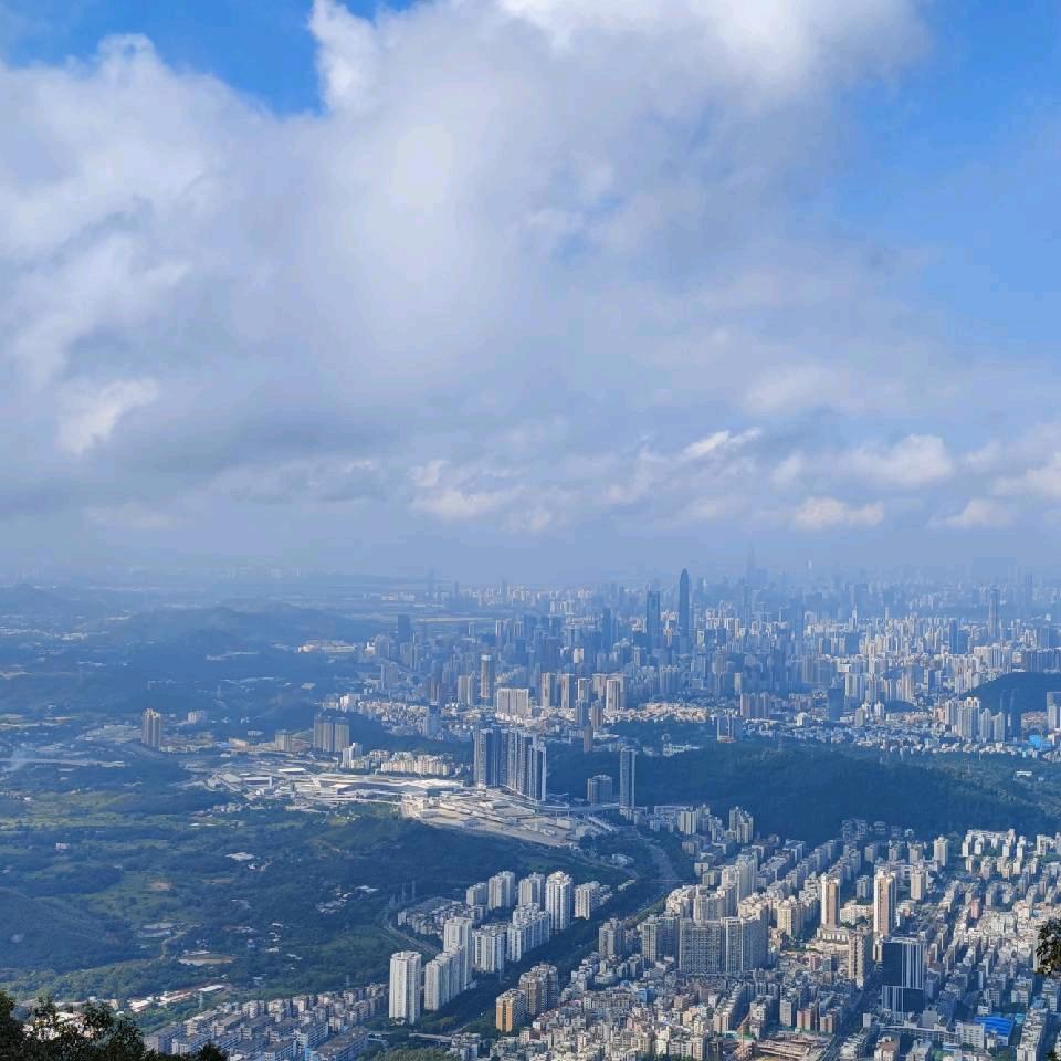 啊郑小郑大郑老郑（互关）