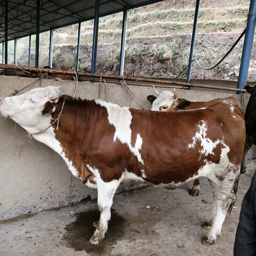 一天更比一天好