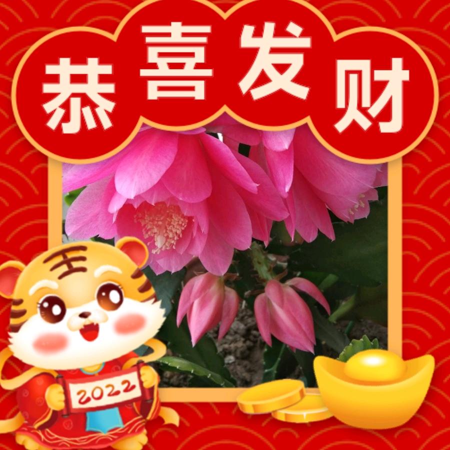 自幸的我