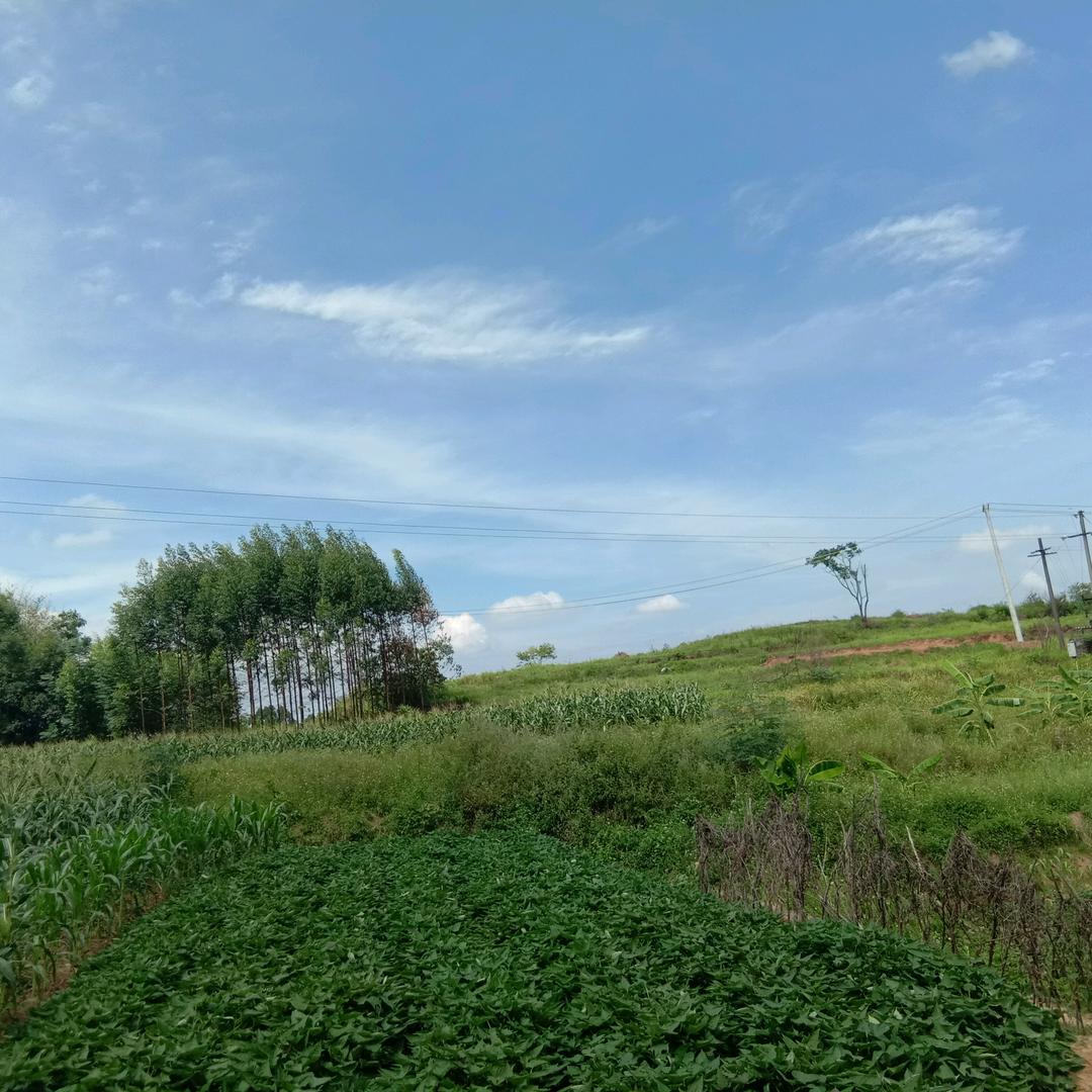 凉城