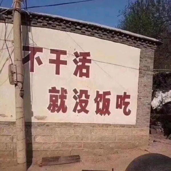 貓小鱼