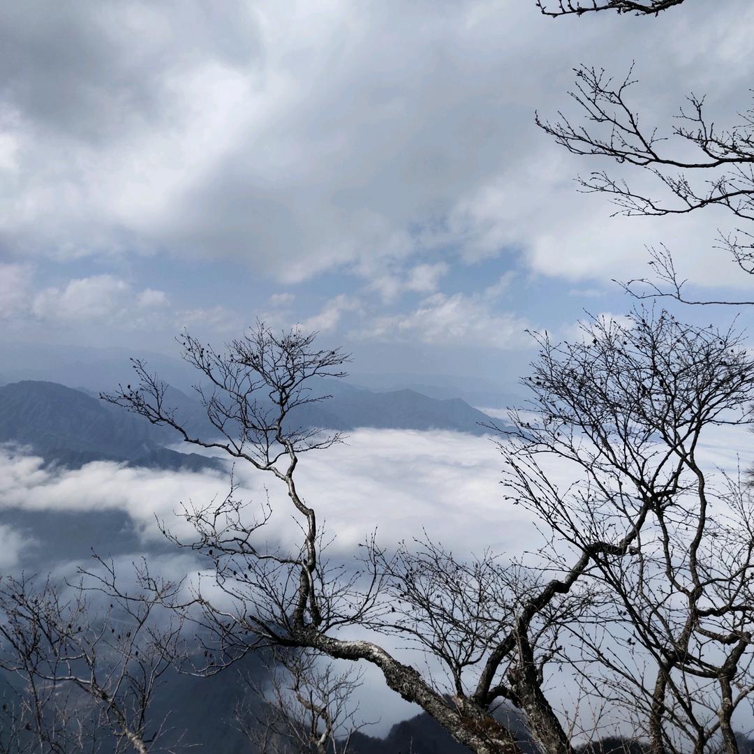 一帘幽梦