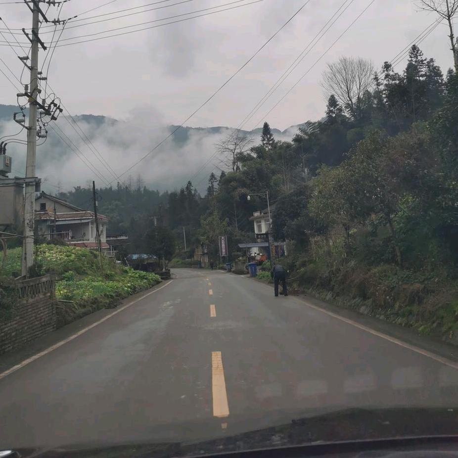 风