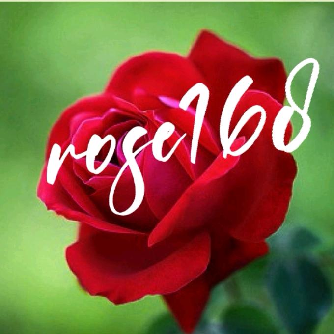 rose168