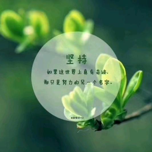 笑傲江湖