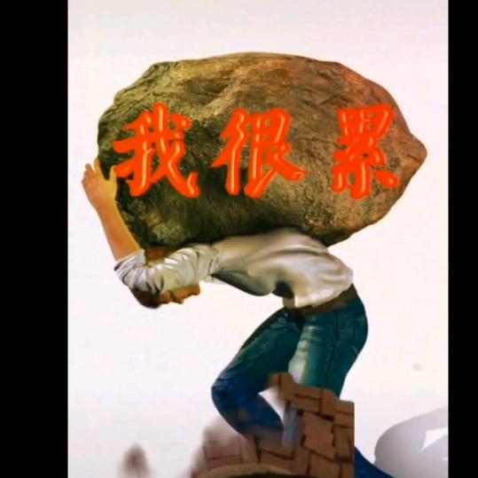 笨蛋哥