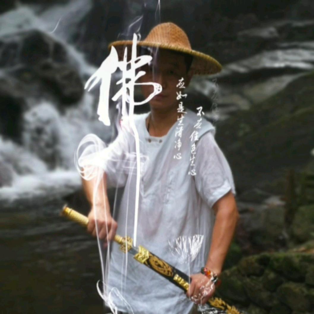 大侠货元甲