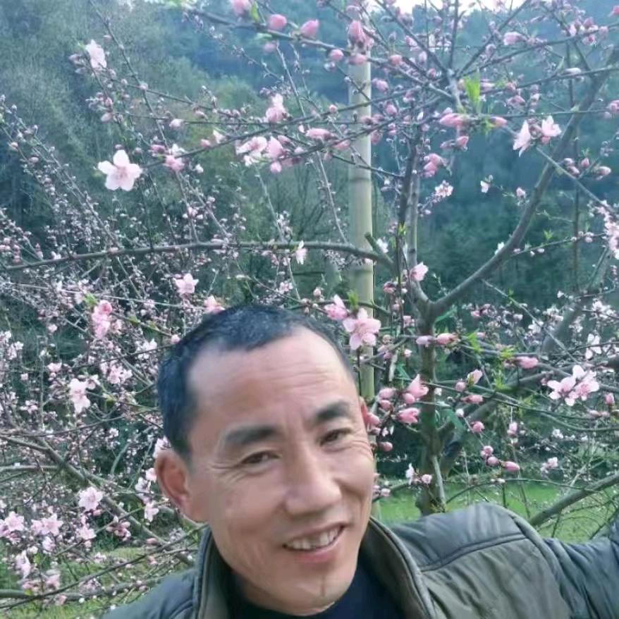 独步天下