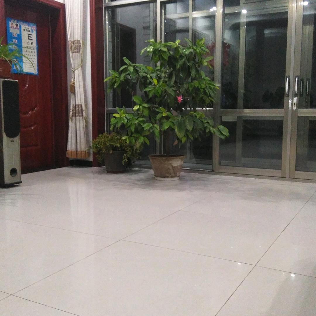 光阴似箭，苍狼