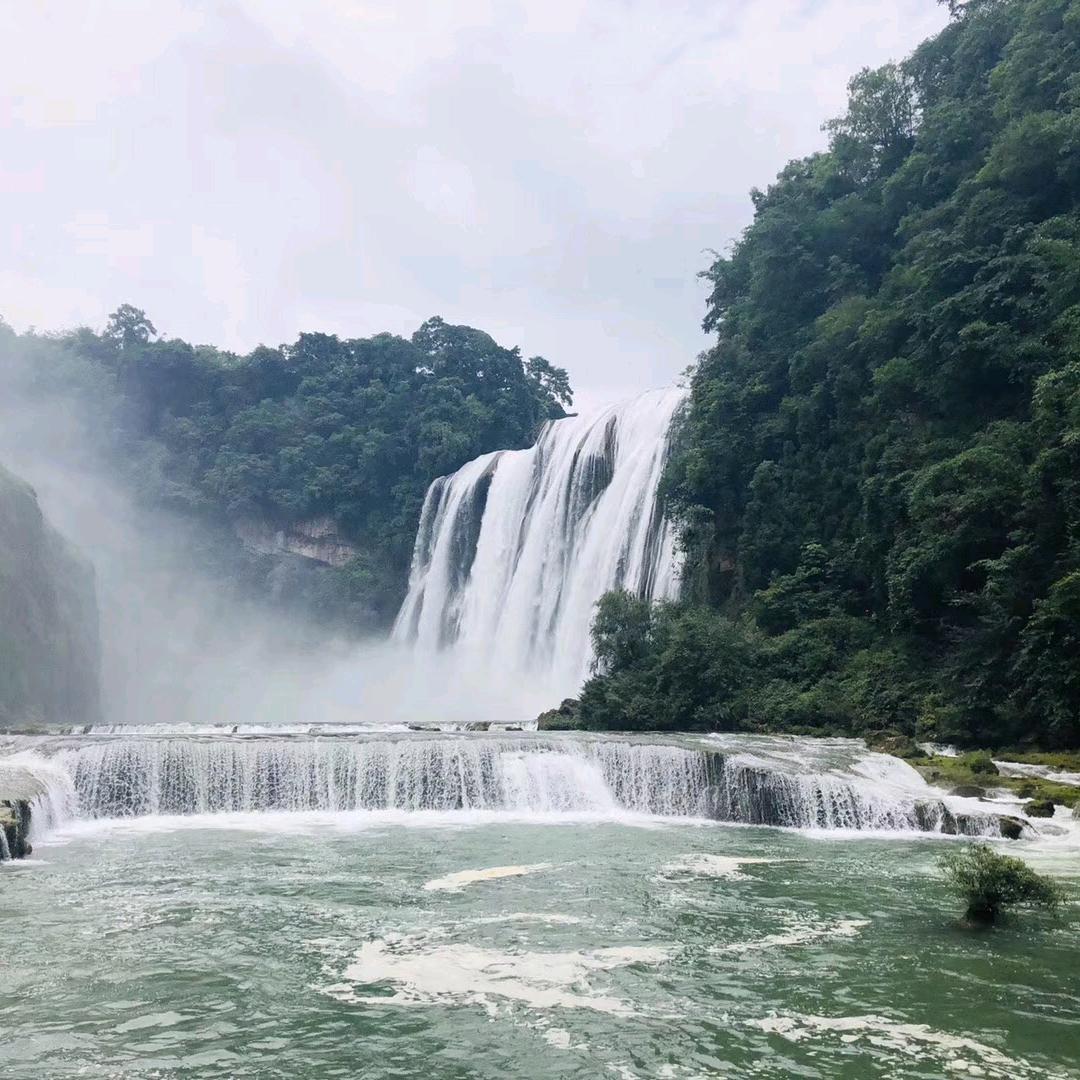 冯枫