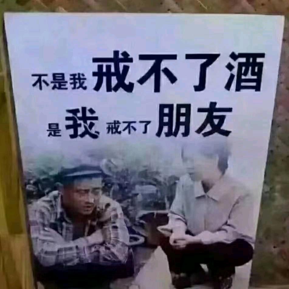 🐒蓝玖瑰的魅惑🐒
