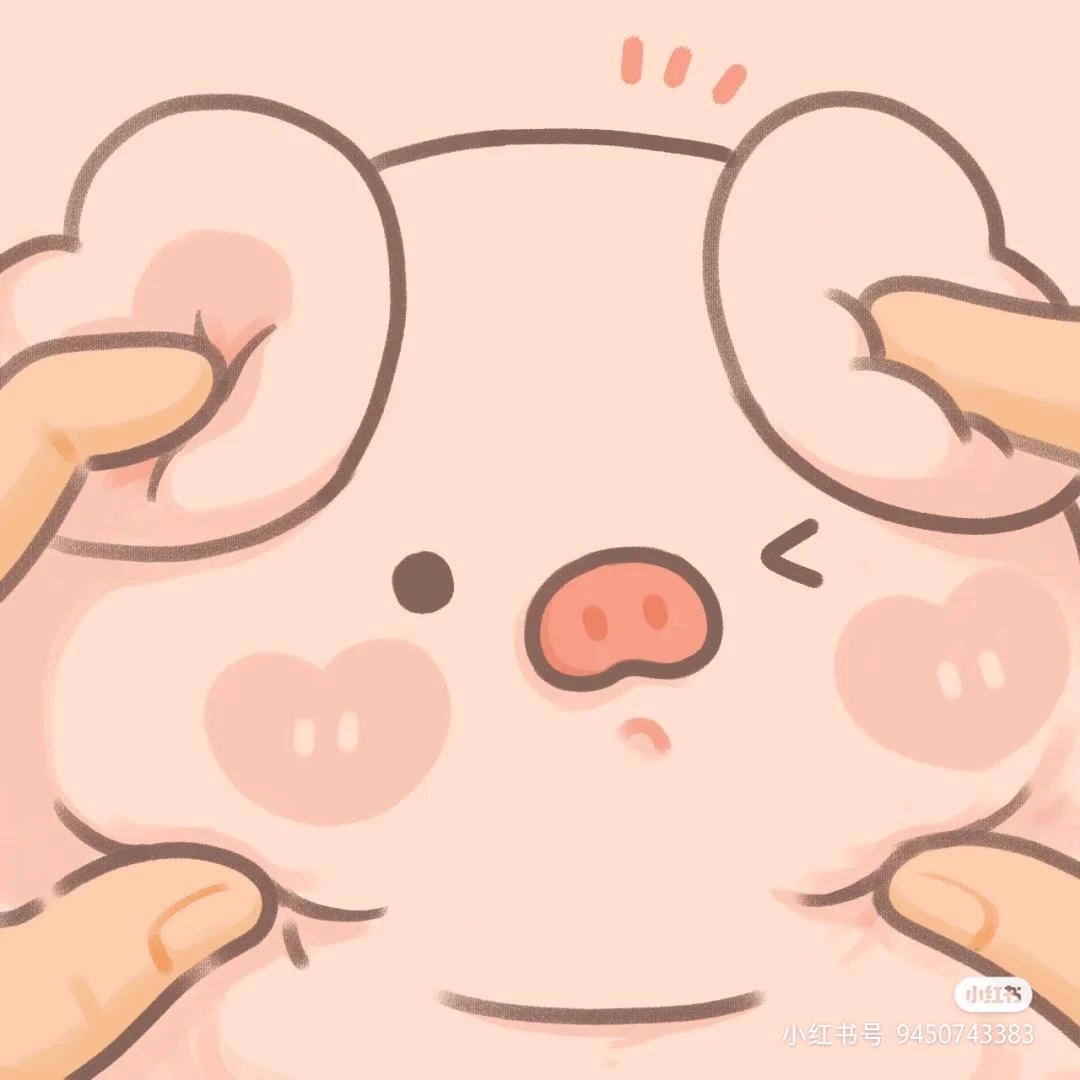 吱屋猪（严选）