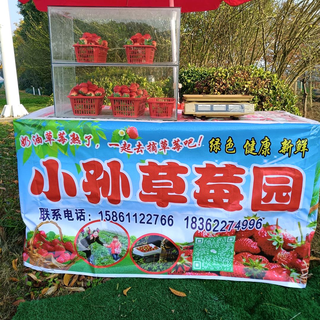 溧阳市，小孙草莓园