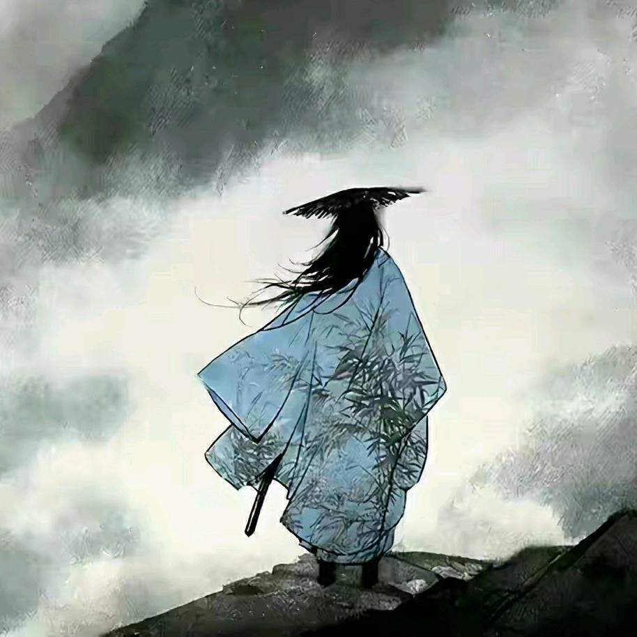 数据视界