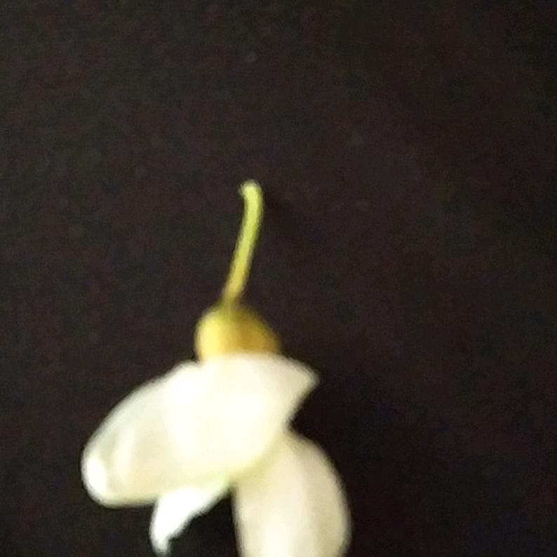 -辽宁朝阳装修-