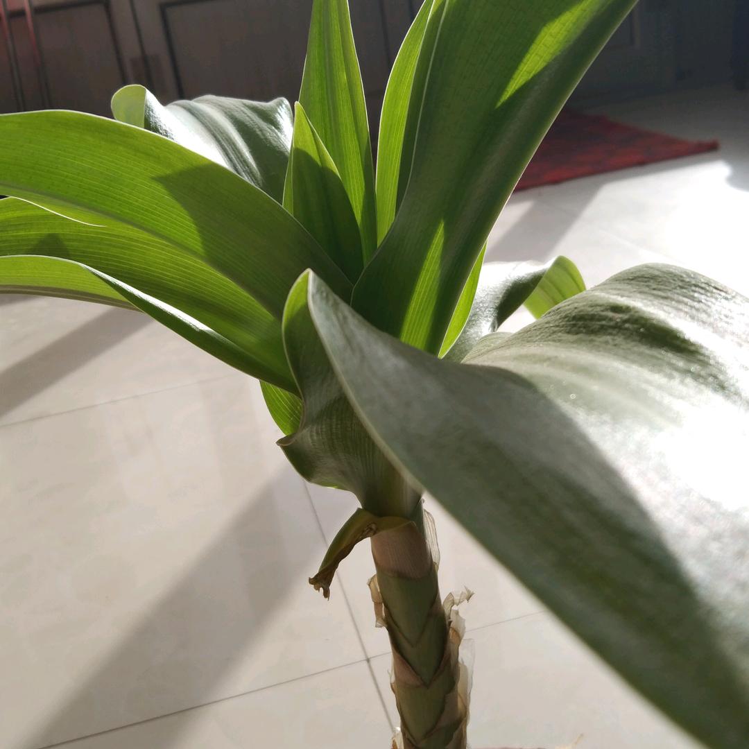 好❤️情