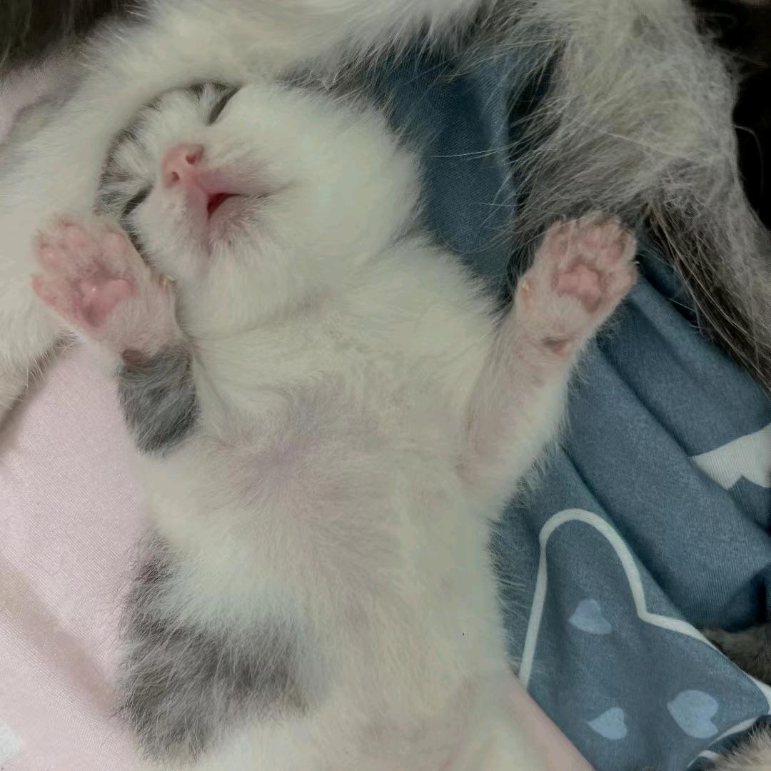 一场梦境一场空