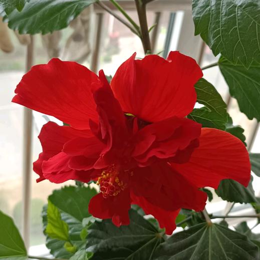 用户1371134394392春花灿烂