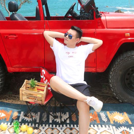 品素墙布窗帘厂家-小飞侠