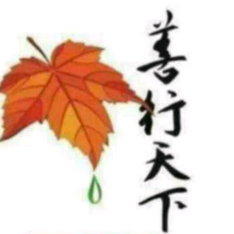 善行天下