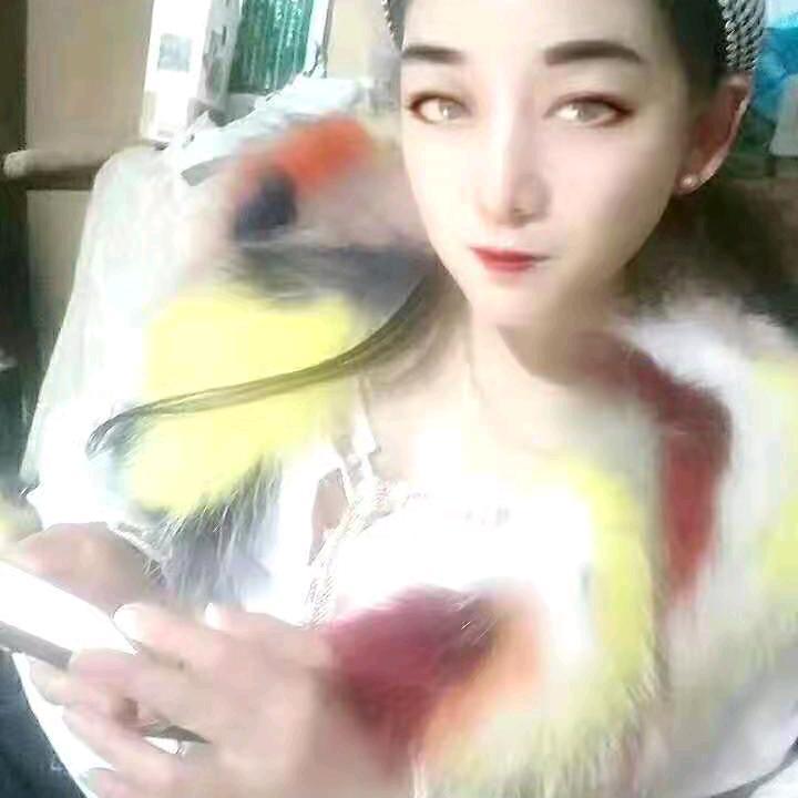 春风一样的女子