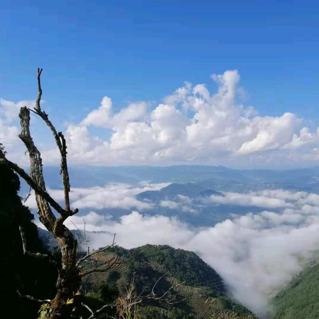山旮旯头像