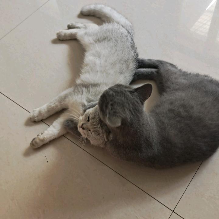 简简单单才是真