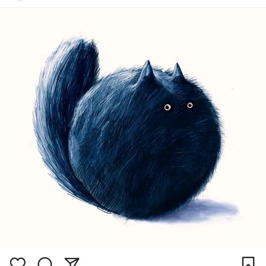 猫叔养宠日记