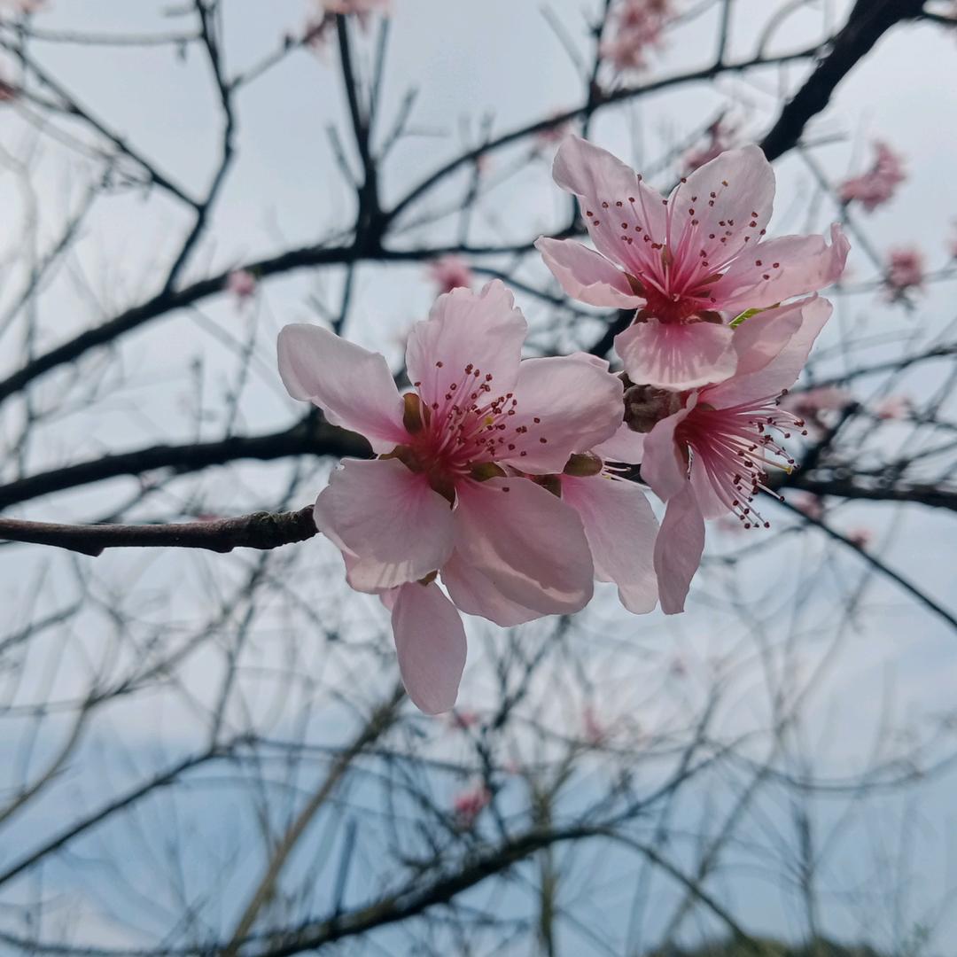 用户云里雾里6311217632824