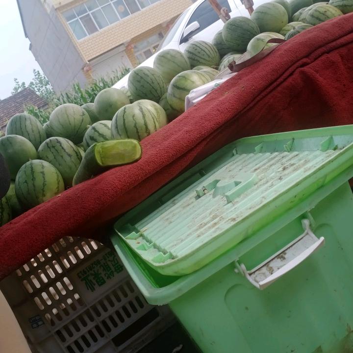 用户7613423593815心好累